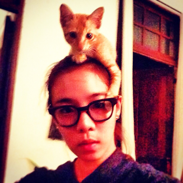 ดารากับแว่นสายตา 