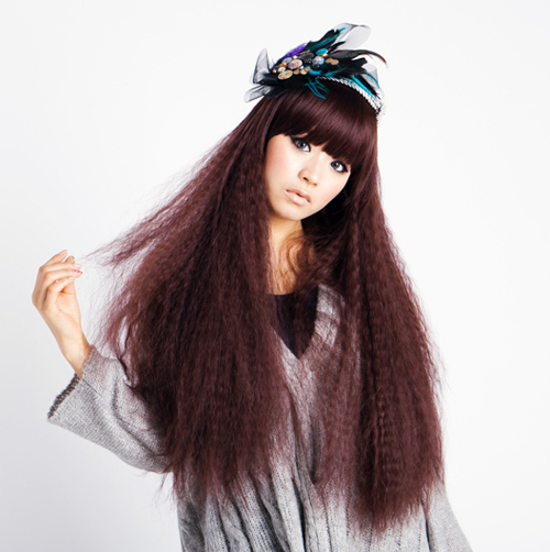 วิกผมยาว 