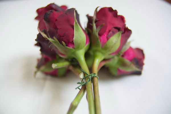 เฮดแบนด์