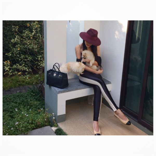 ใหม่ ดาวิกา