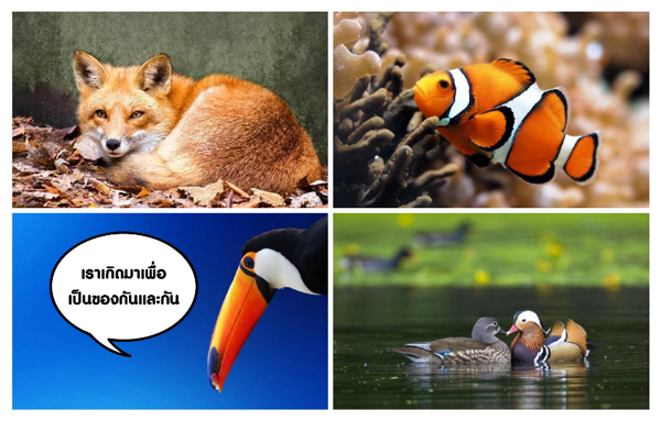 สัตว์โลก