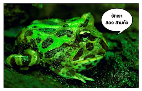 สัตว์โลก