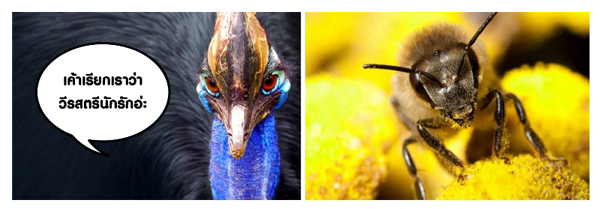 สัตว์โลก