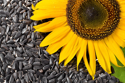 อาหารบำรุงผิว