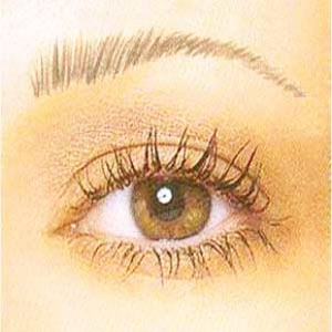 เมคอัพสติกเกอร์