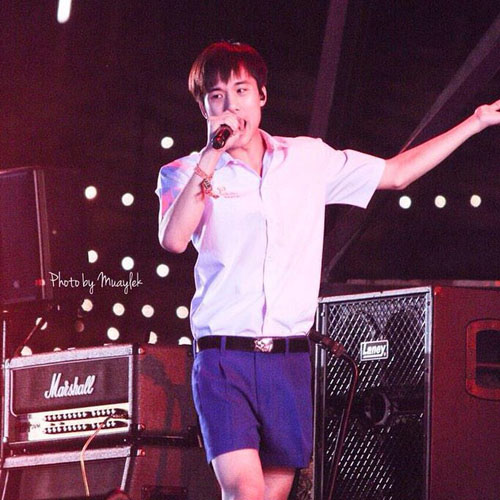  แก๊งฮอร์โมน