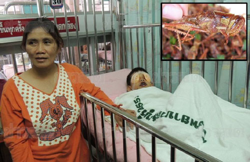 เด็ก 8 ขวบกินจิ้งหรีดทอด แพ้หนัก