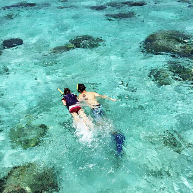 เกล เวธกา  แมน การิน