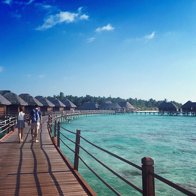 เกล เวธกา  แมน การิน