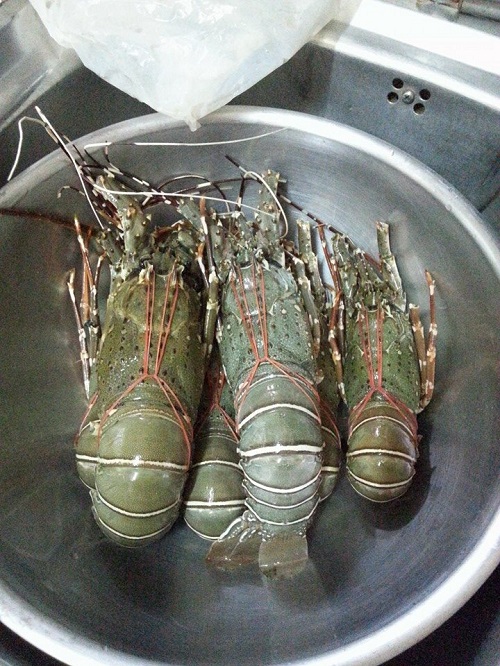 ล็อบสเตอร์ทอดกระเทียม เมนูเลอค่า ทำง่ายเหมือนพูดเล่น ! 