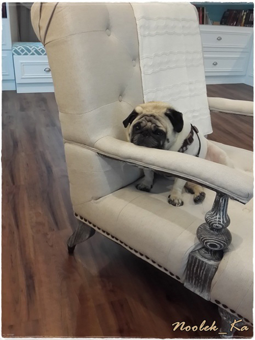 อวดบ้านหลังเล็ก ๆ กับไอเดียตกแต่งภายในแสนสวย