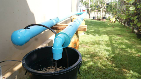 เจ๋งได้อีก ! ปลูกเมลอนระโยงระยาง เป็นสวนบนทาวน์เฮ้าส์