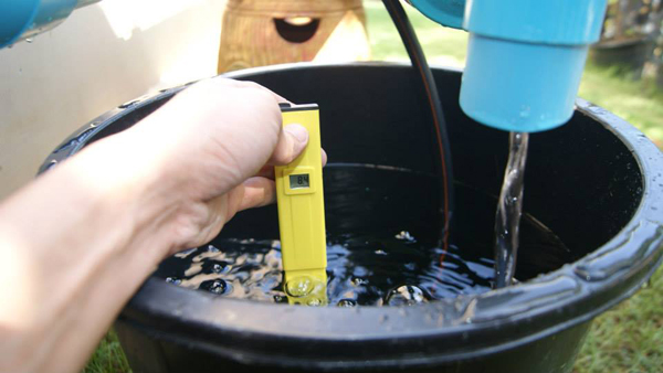 เจ๋งได้อีก ! ปลูกเมลอนระโยงระยาง เป็นสวนบนทาวน์เฮ้าส์