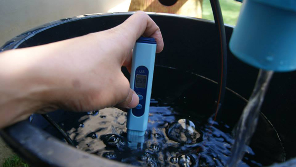 เจ๋งได้อีก ! ปลูกเมลอนระโยงระยาง เป็นสวนบนทาวน์เฮ้าส์