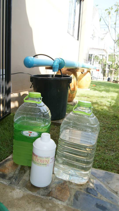 เจ๋งได้อีก ! ปลูกเมลอนระโยงระยาง เป็นสวนบนทาวน์เฮ้าส์