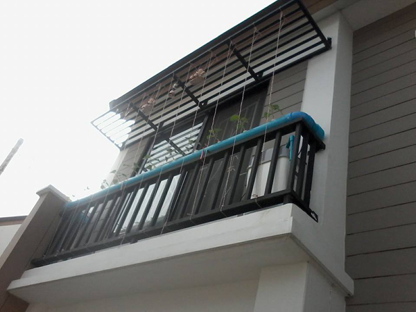 เจ๋งได้อีก ! ปลูกเมลอนระโยงระยาง เป็นสวนบนทาวน์เฮ้าส์