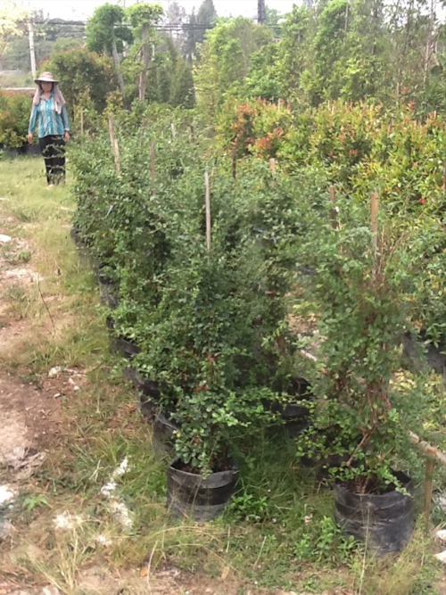 บ้านสไตล์ลอฟท์