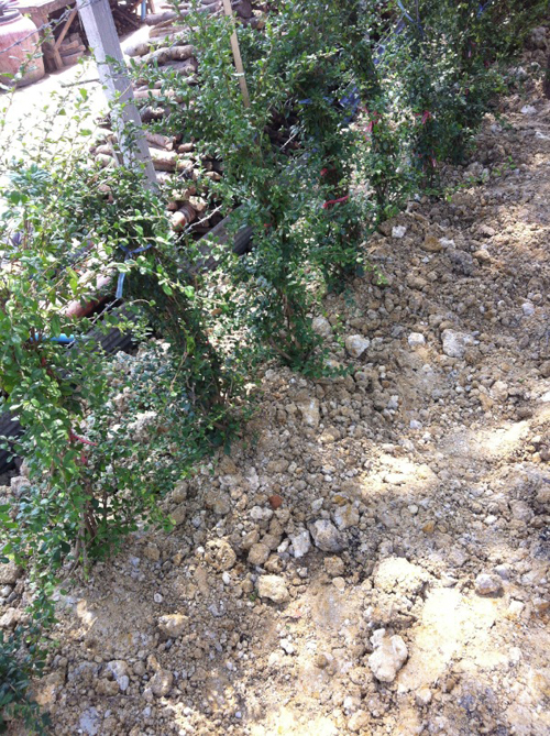 บ้านสไตล์ลอฟท์