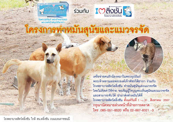 ฟรี ทำหมันสุนัขและแมวจรจัด ตลอดเดือนสิงหาคม 2557