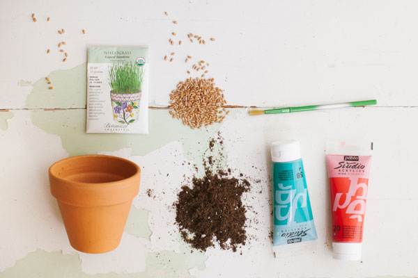 D.I.Y. กระถางต้นไม้หลากสี สวยปิ๊งใน 3 ขั้นตอน