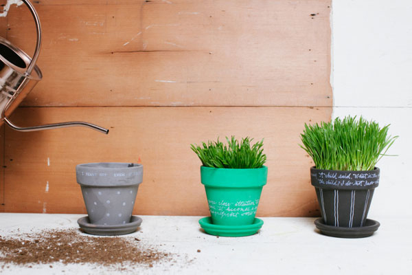 D.I.Y. กระถางต้นไม้หลากสี สวยปิ๊งใน 3 ขั้นตอน