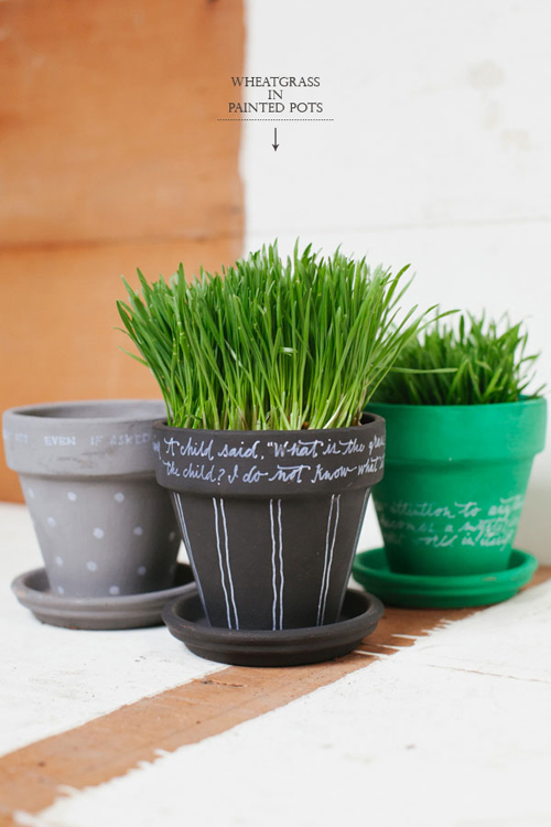 D.I.Y. กระถางต้นไม้หลากสี สวยปิ๊งใน 3 ขั้นตอน