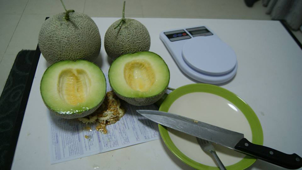 เจ๋งได้อีก ! ปลูกเมลอนระโยงระยาง เป็นสวนบนทาวน์เฮ้าส์