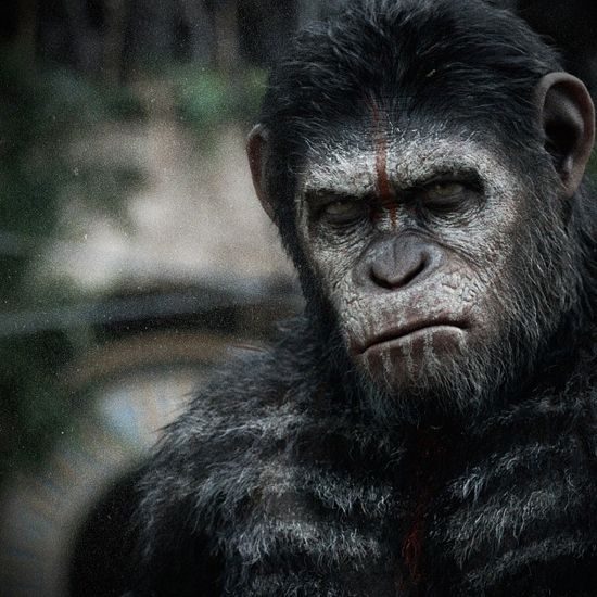 มาดูกัน ! ทีเซอร์ใหม่ Dawn of the Planet of the Apes