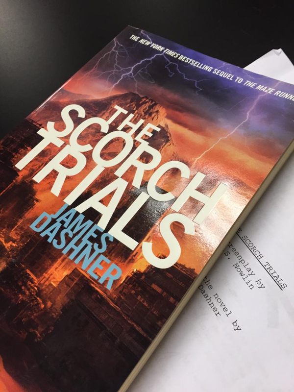 ยืนยัน ! Maze Runner 3 ไม่แบ่งเป็น 2 ตอน