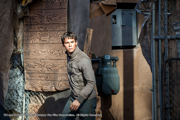ภาพเซตแรก Maze Runner 2