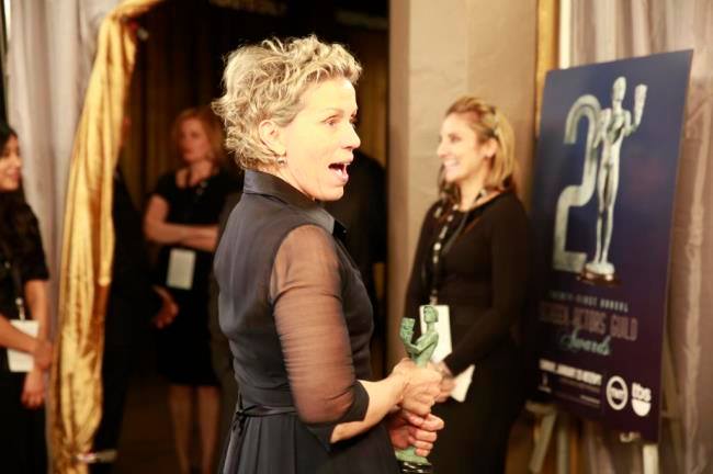 SAG Awards 2015