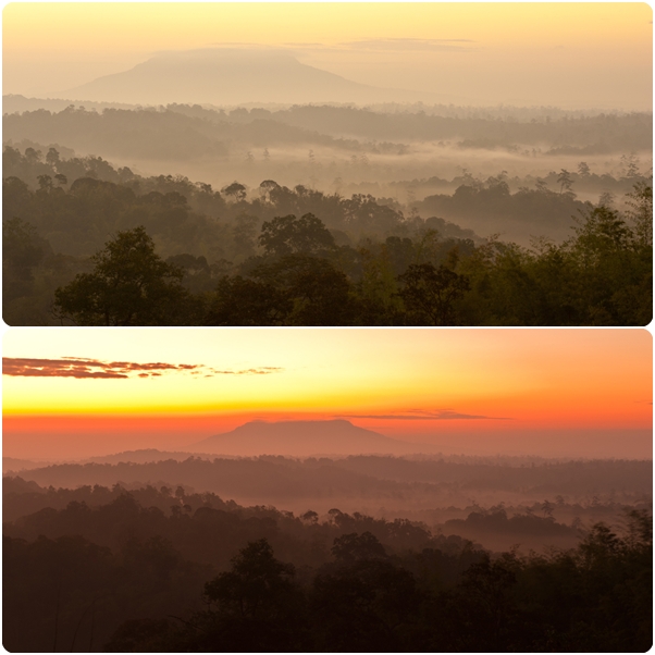 น้ำหนาว