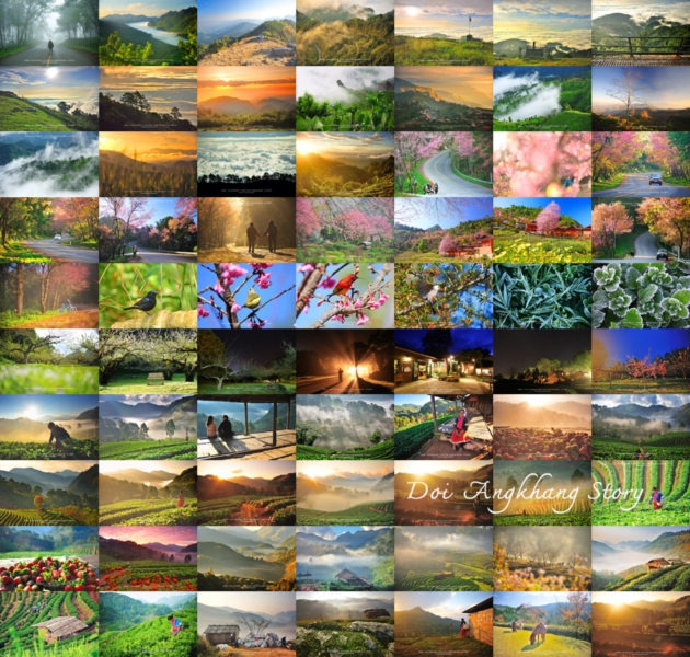 ดอยอ่างขาง