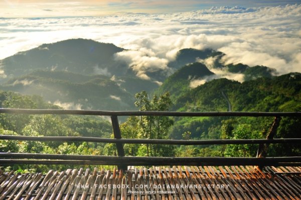 ดอยอ่างขาง