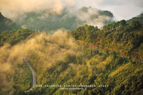 ดอยอ่างขาง