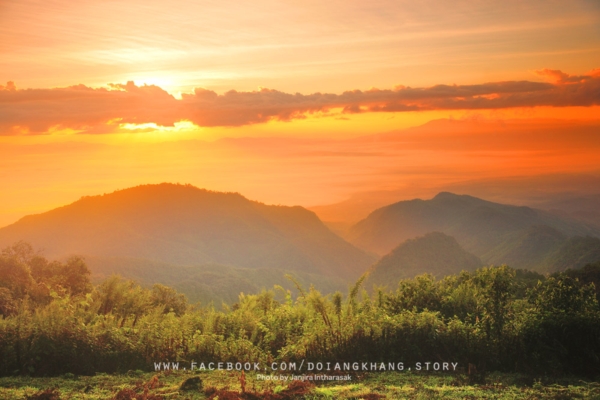 ดอยอ่างขาง