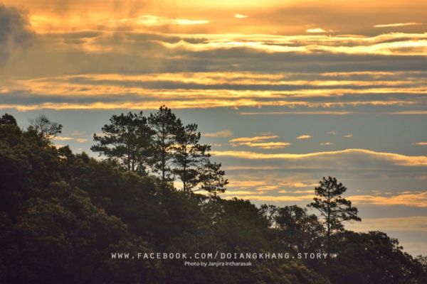 ดอยอ่างขาง