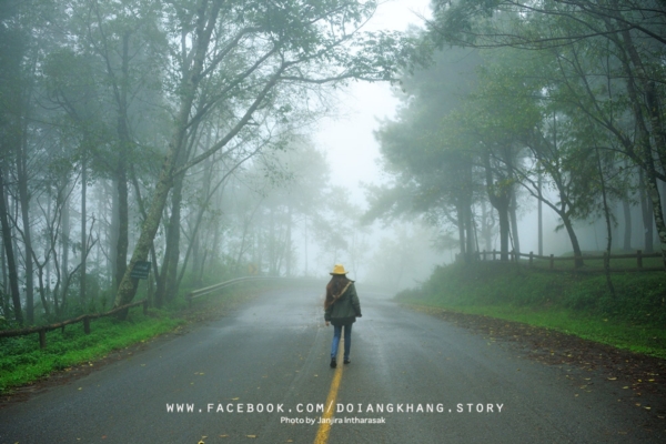 ดอยอ่างขาง