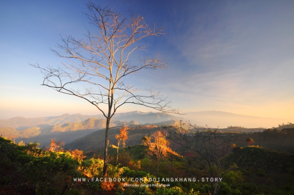 ดอยอ่างขาง