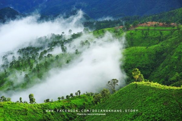 ดอยอ่างขาง