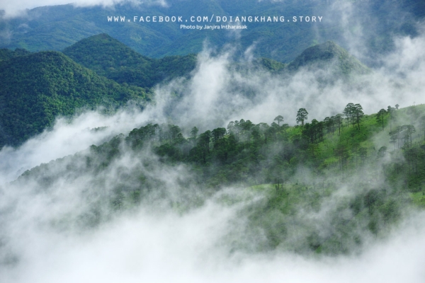 ดอยอ่างขาง