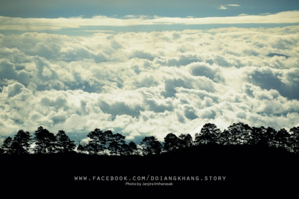 ดอยอ่างขาง