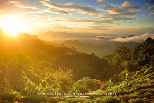 ดอยอ่างขาง