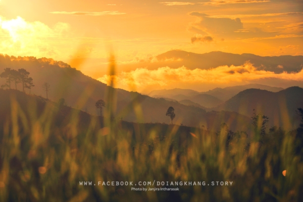 ดอยอ่างขาง