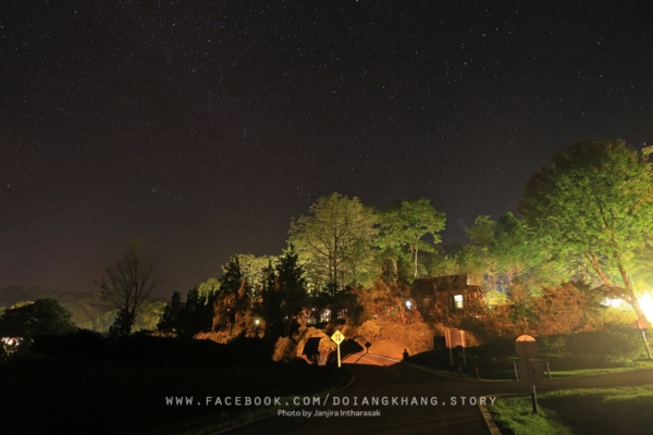 ดอยอ่างขาง