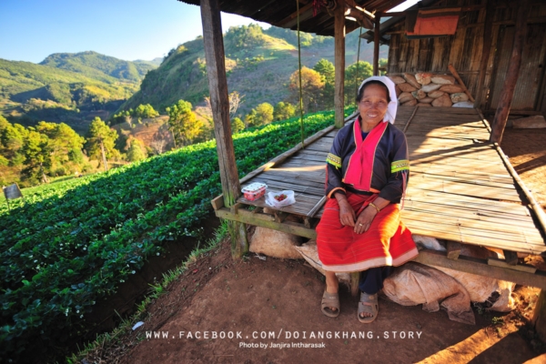 ดอยอ่างขาง