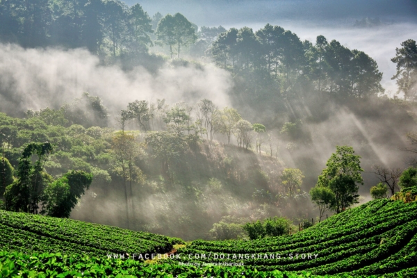 ดอยอ่างขาง