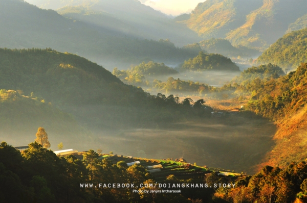 ดอยอ่างขาง