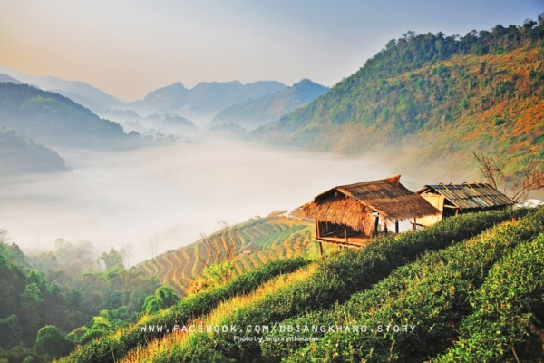 ดอยอ่างขาง