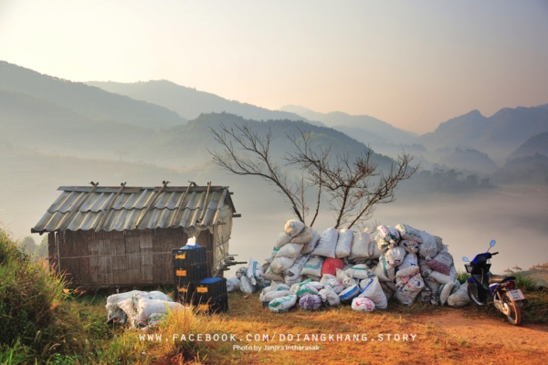 ดอยอ่างขาง